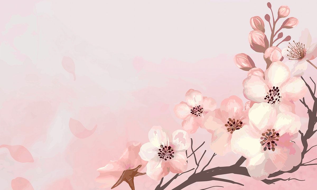 cute cherry blossom background 0061