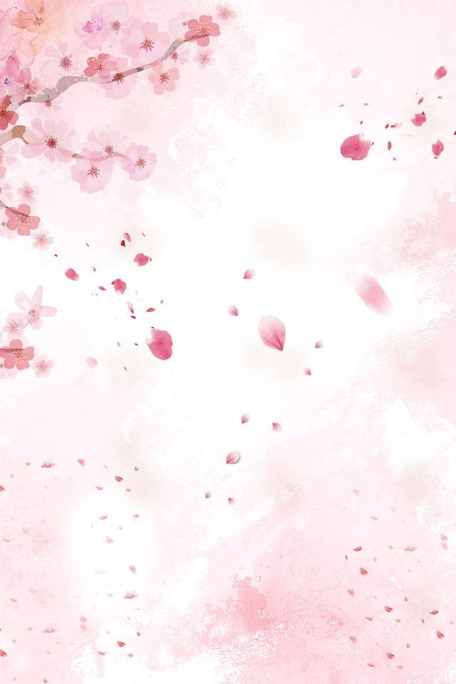 cute cherry blossom background 0066