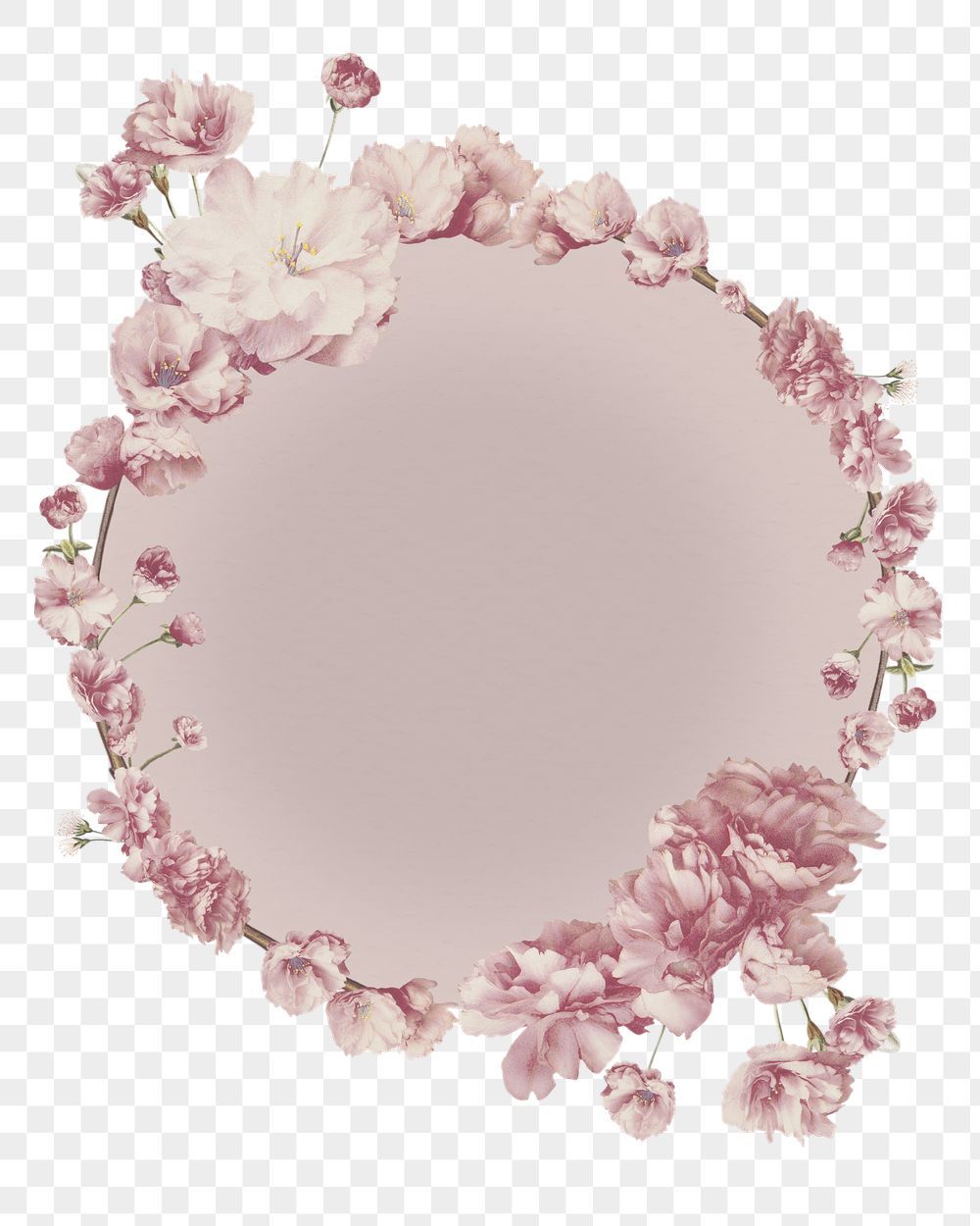 cute cherry blossom background 0069