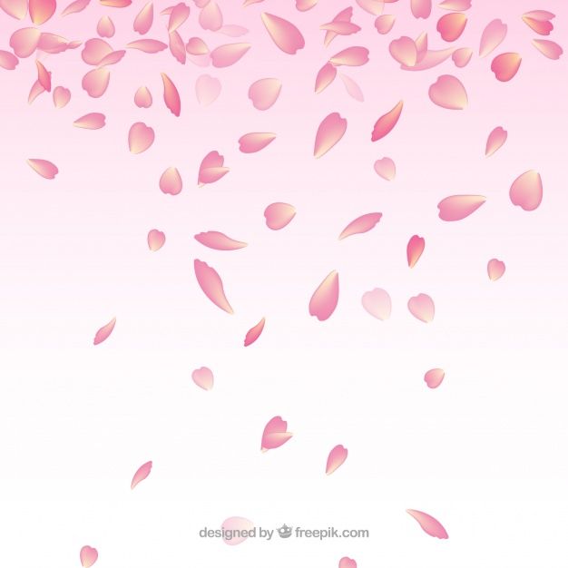 cute cherry blossom background 0071