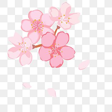 cute cherry blossom background 0073