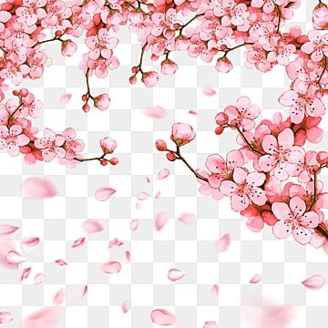 cute cherry blossom background 0076