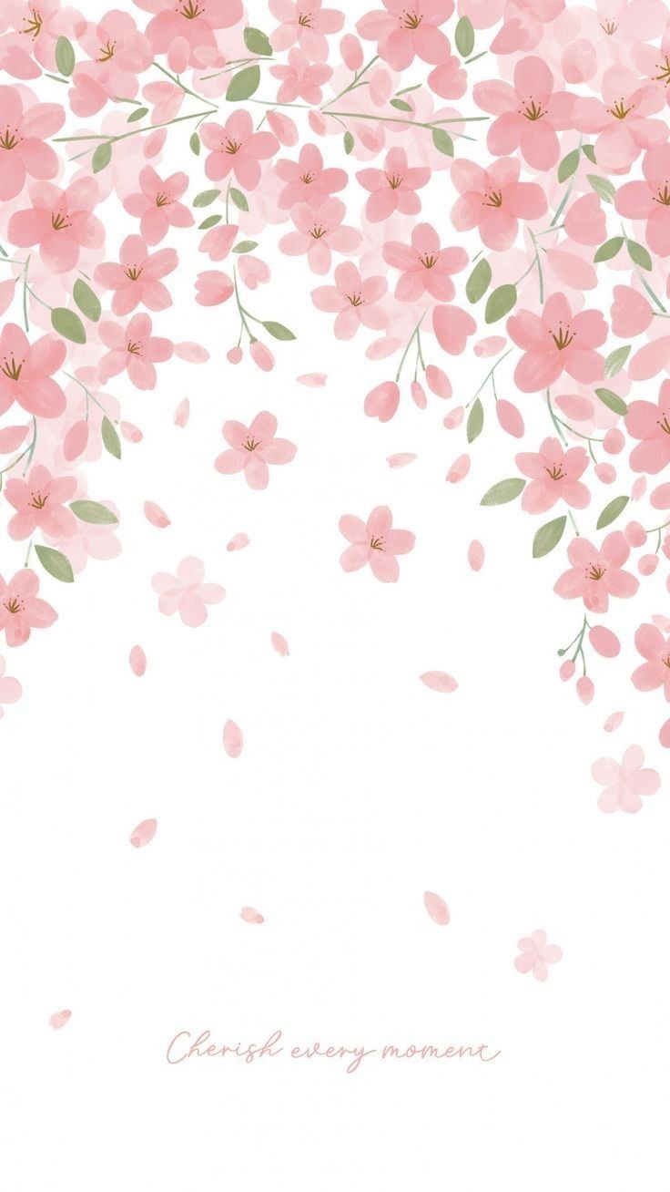 cute cherry blossom background 0077