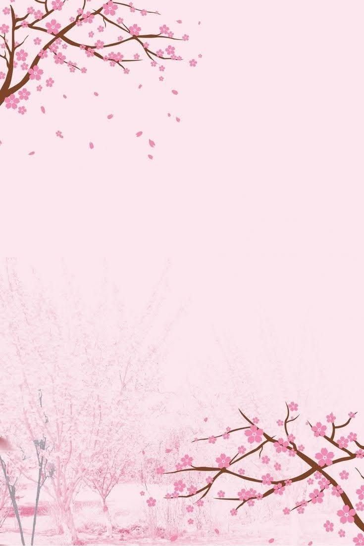 cute cherry blossom background 0080