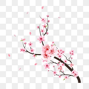 cute cherry blossom background 0084