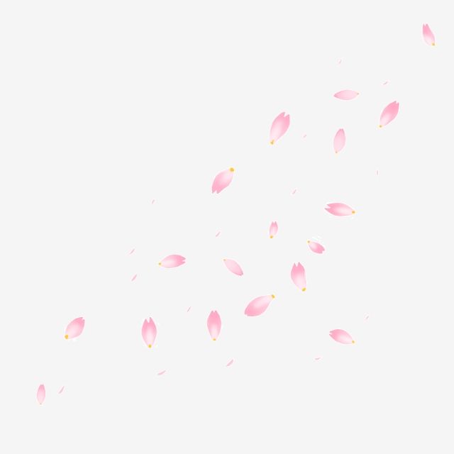 cute cherry blossom background 0089