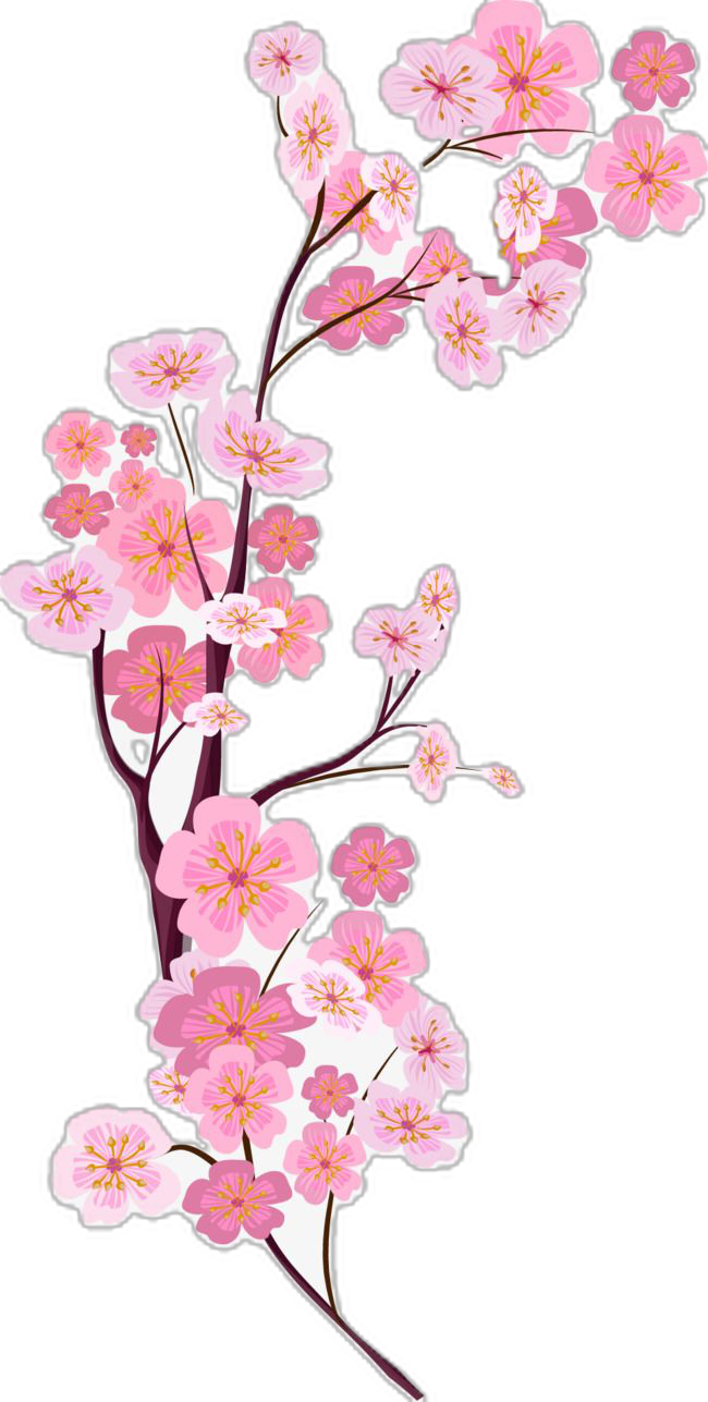 cute cherry blossom background 0091