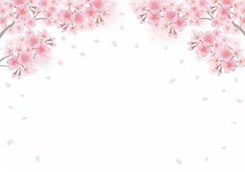 cute cherry blossom background 0092