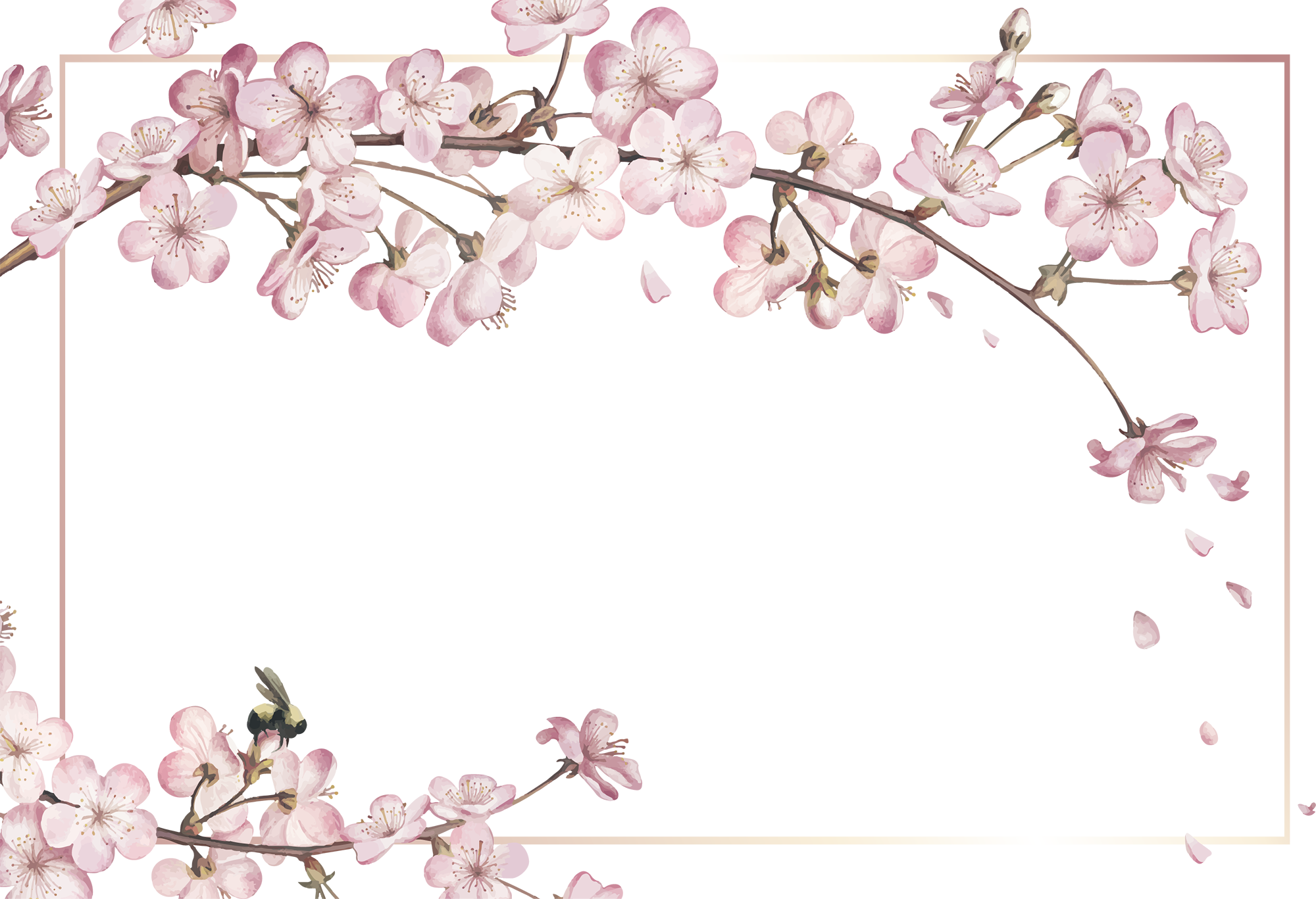 cute cherry blossom background 0094