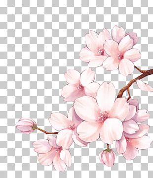 cute cherry blossom background 0095