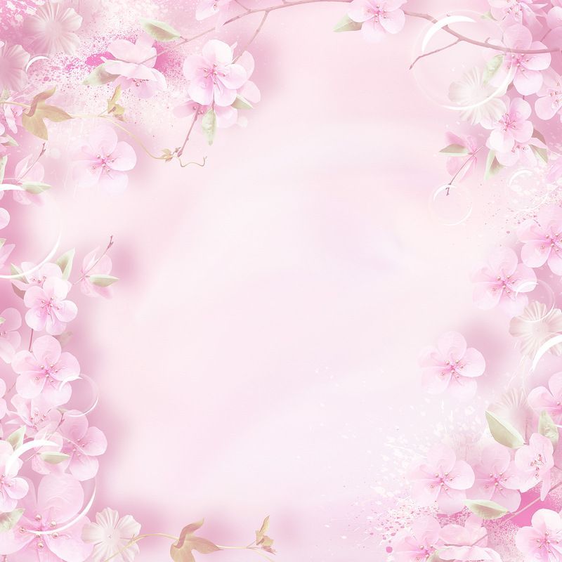 cute cherry blossom background 0097