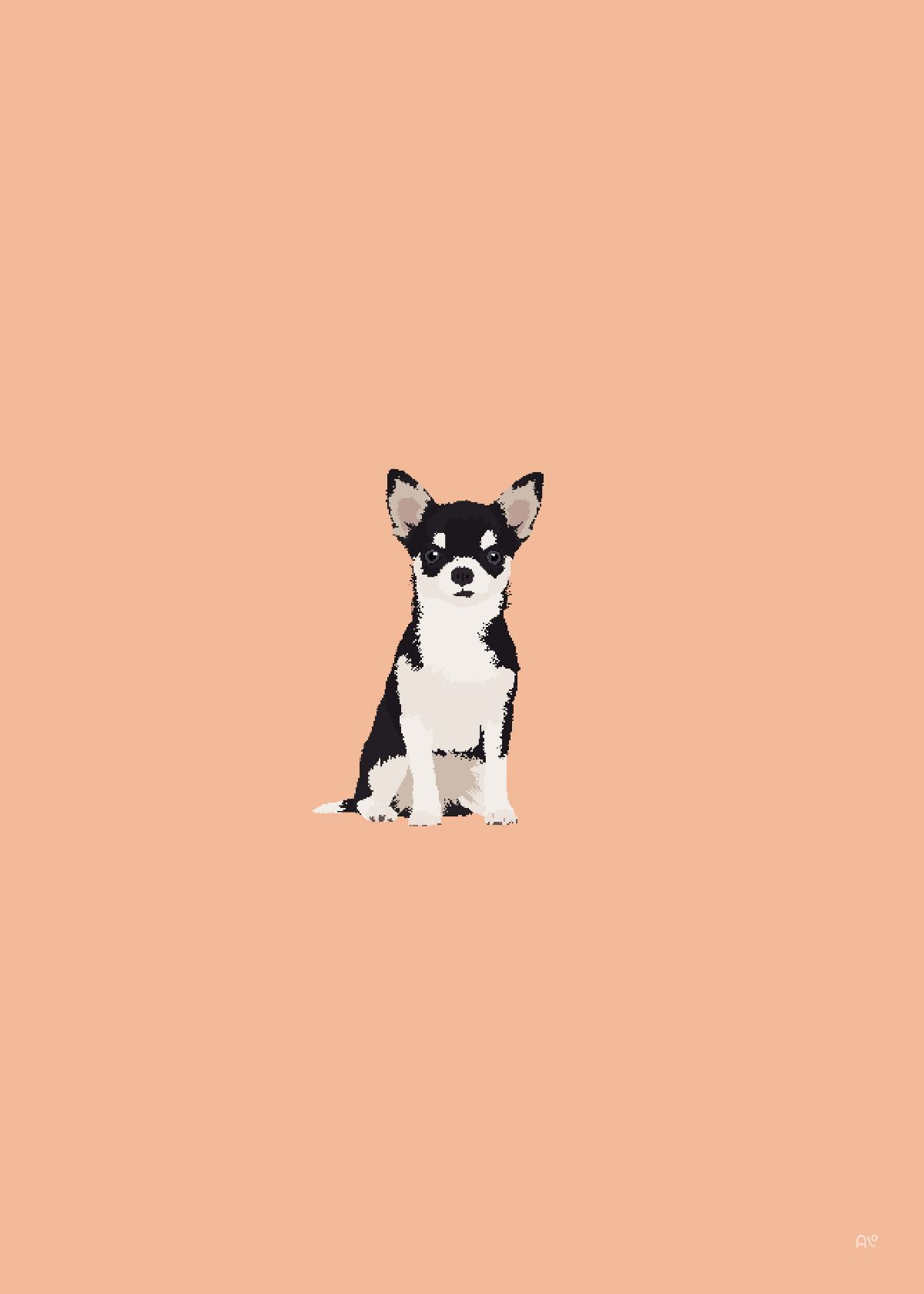 cute chihuahua backgrounds 0023