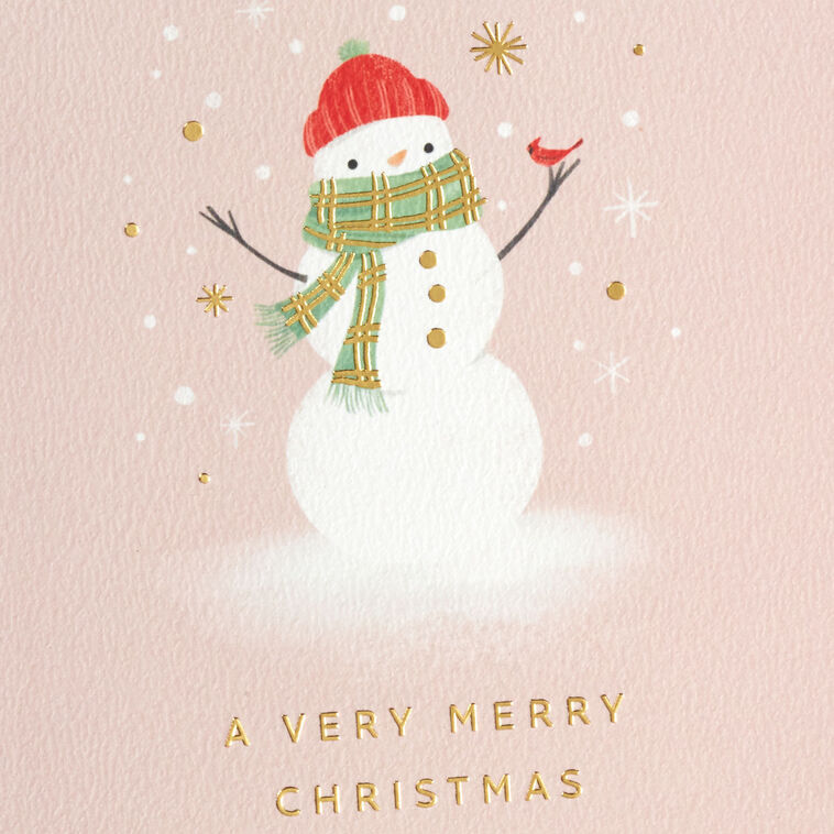 cute christmas card background 0042