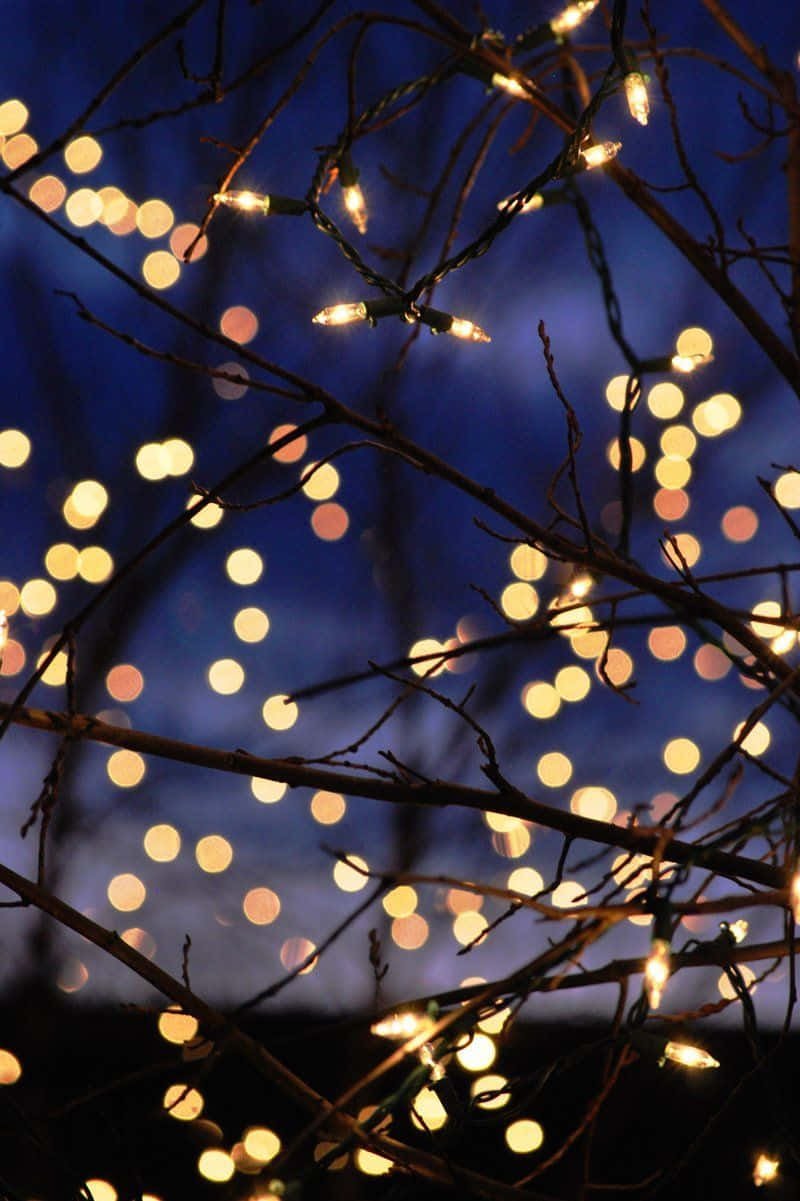 cute christmas lights background 0032