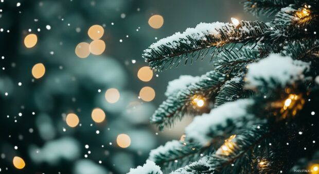 cute Christmas tree background 0070