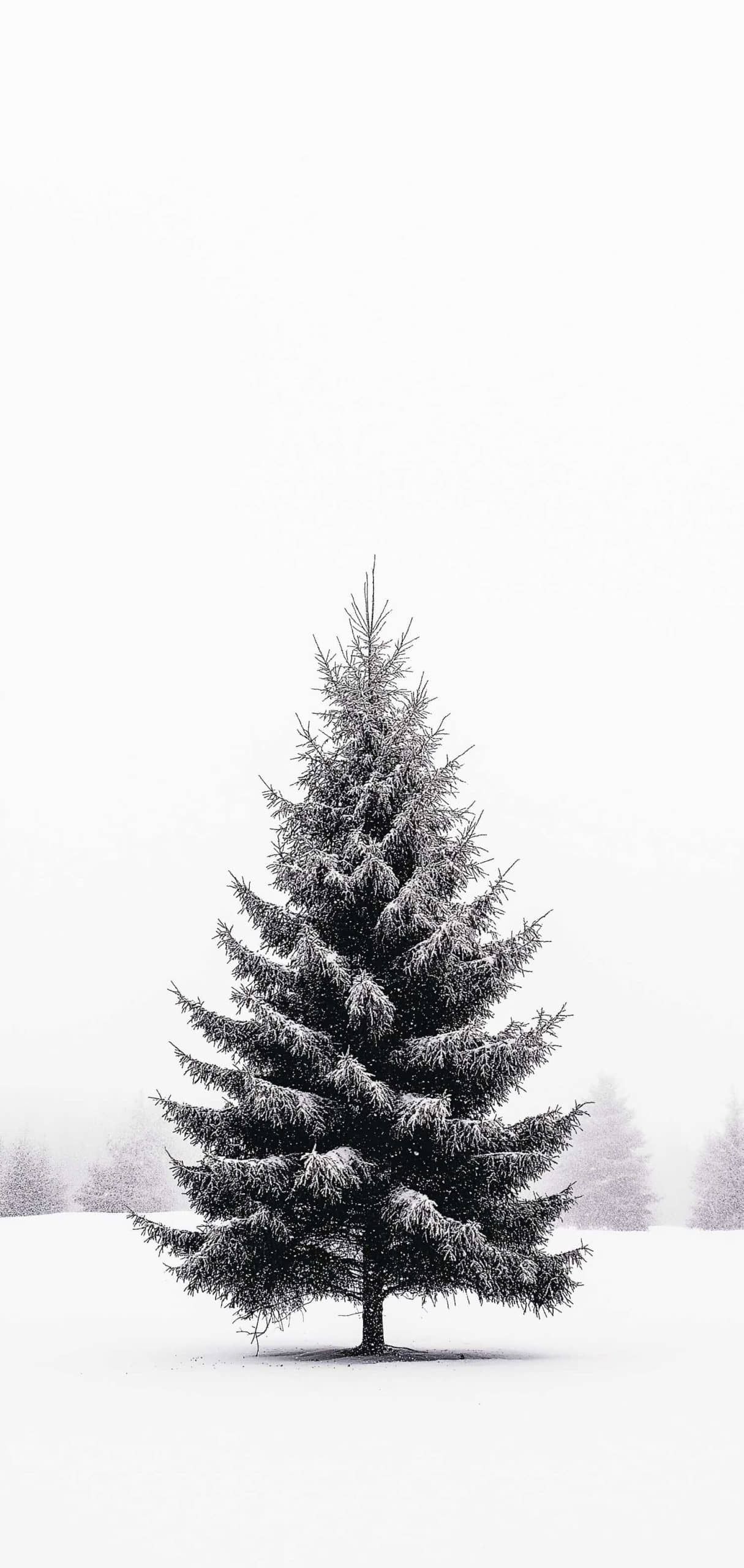 cute Christmas tree background 0092