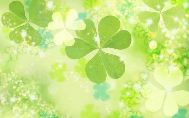 cute clover background 0023