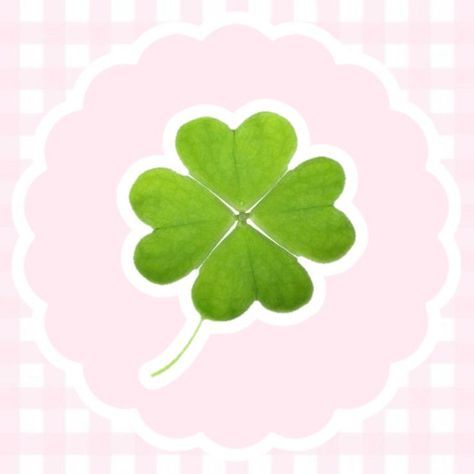 cute clover background 0040