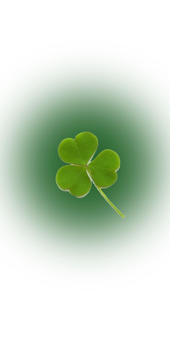 cute clover background 0088