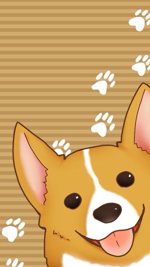 cute Corgi backgrounds 0039