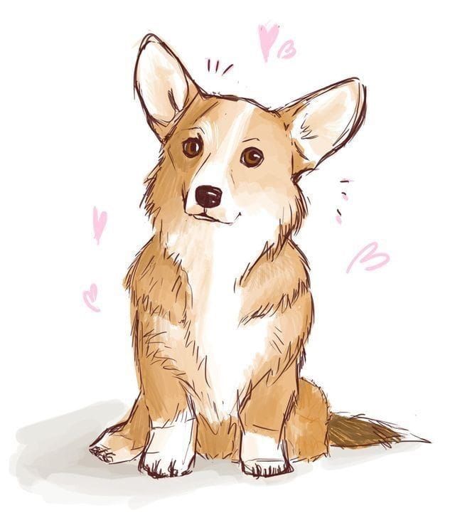 cute Corgi backgrounds 0045