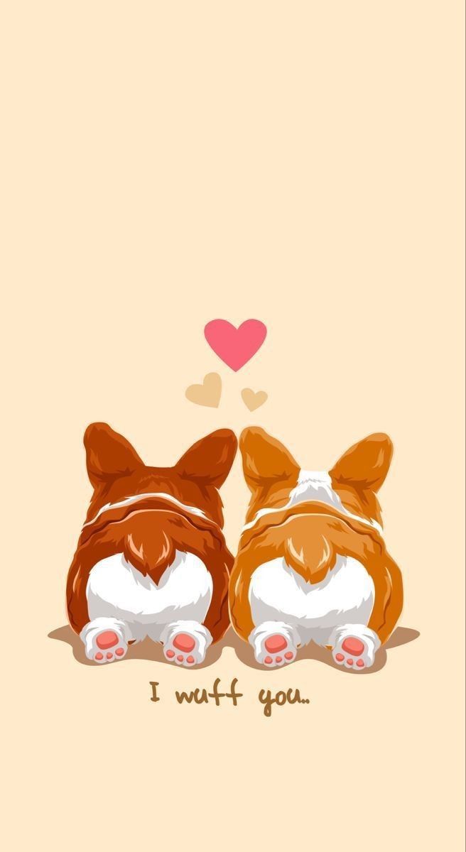 cute Corgi backgrounds 0046