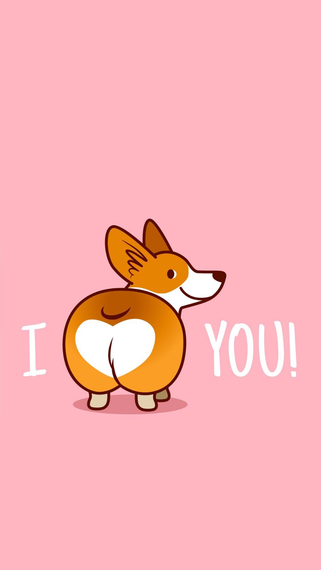 cute Corgi backgrounds 0049