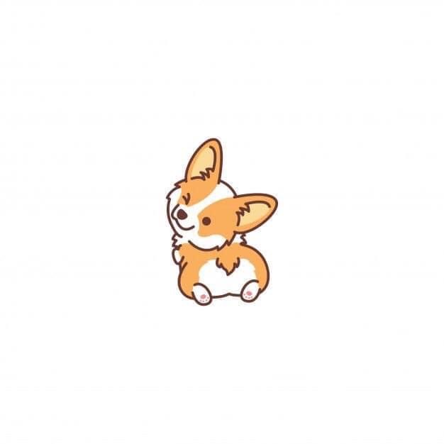 cute Corgi backgrounds 0050