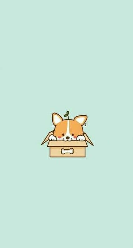 cute Corgi backgrounds 0069