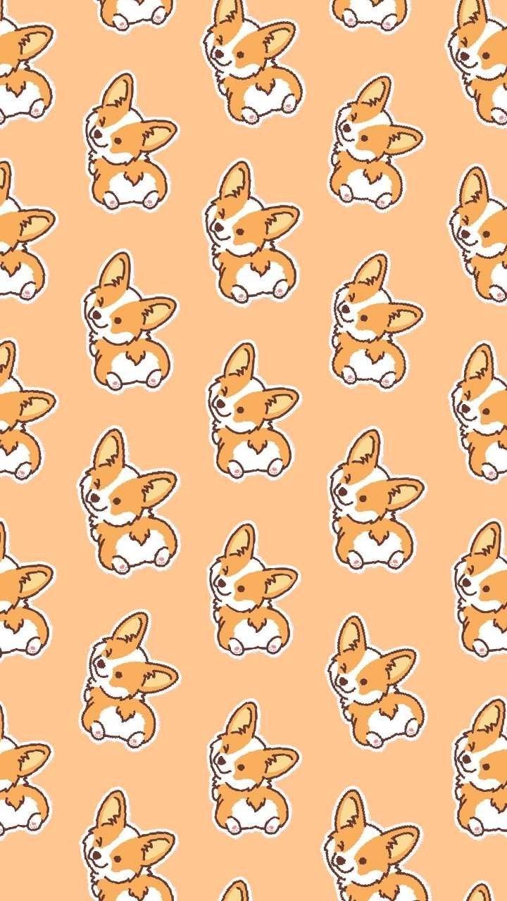 cute Corgi backgrounds 0072