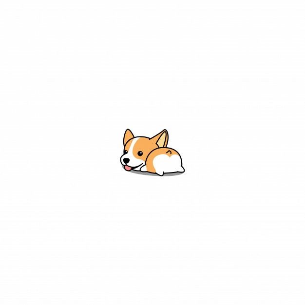 cute Corgi backgrounds 0079