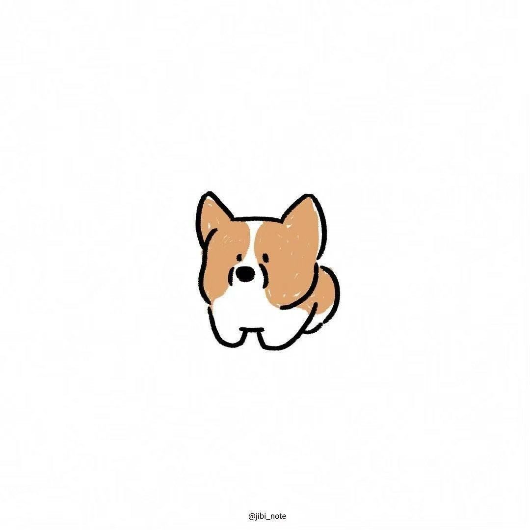 cute Corgi backgrounds 0099