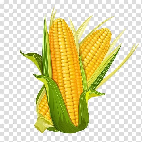 cute corn background designs