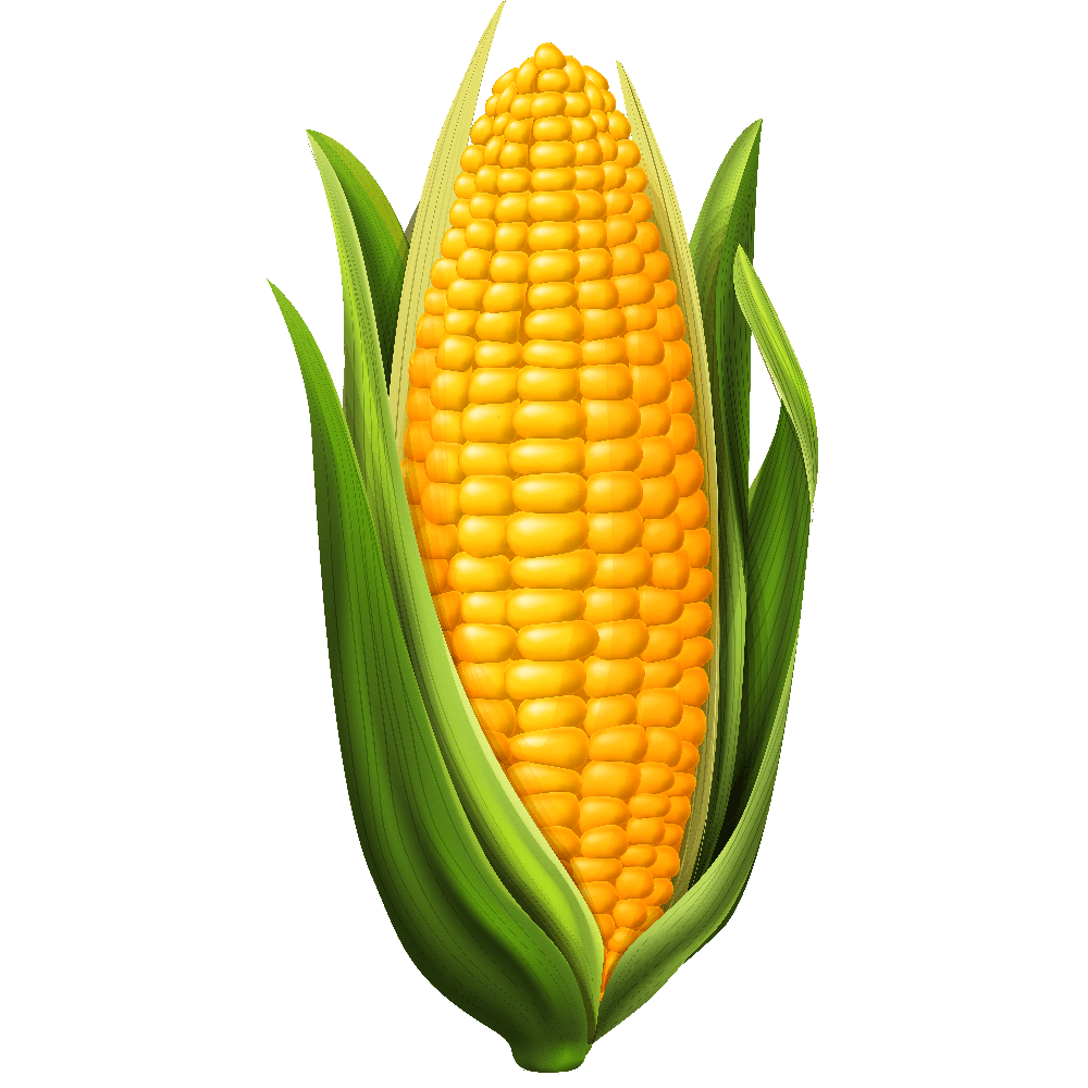 cute corn background 0011