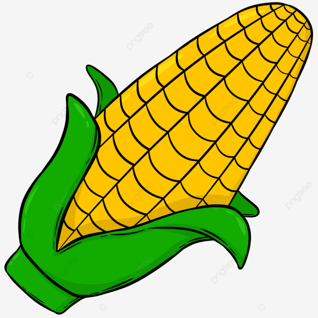 cute corn background 0015