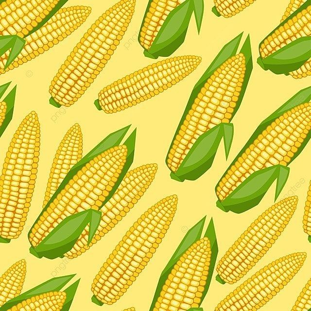 cute corn background 0016