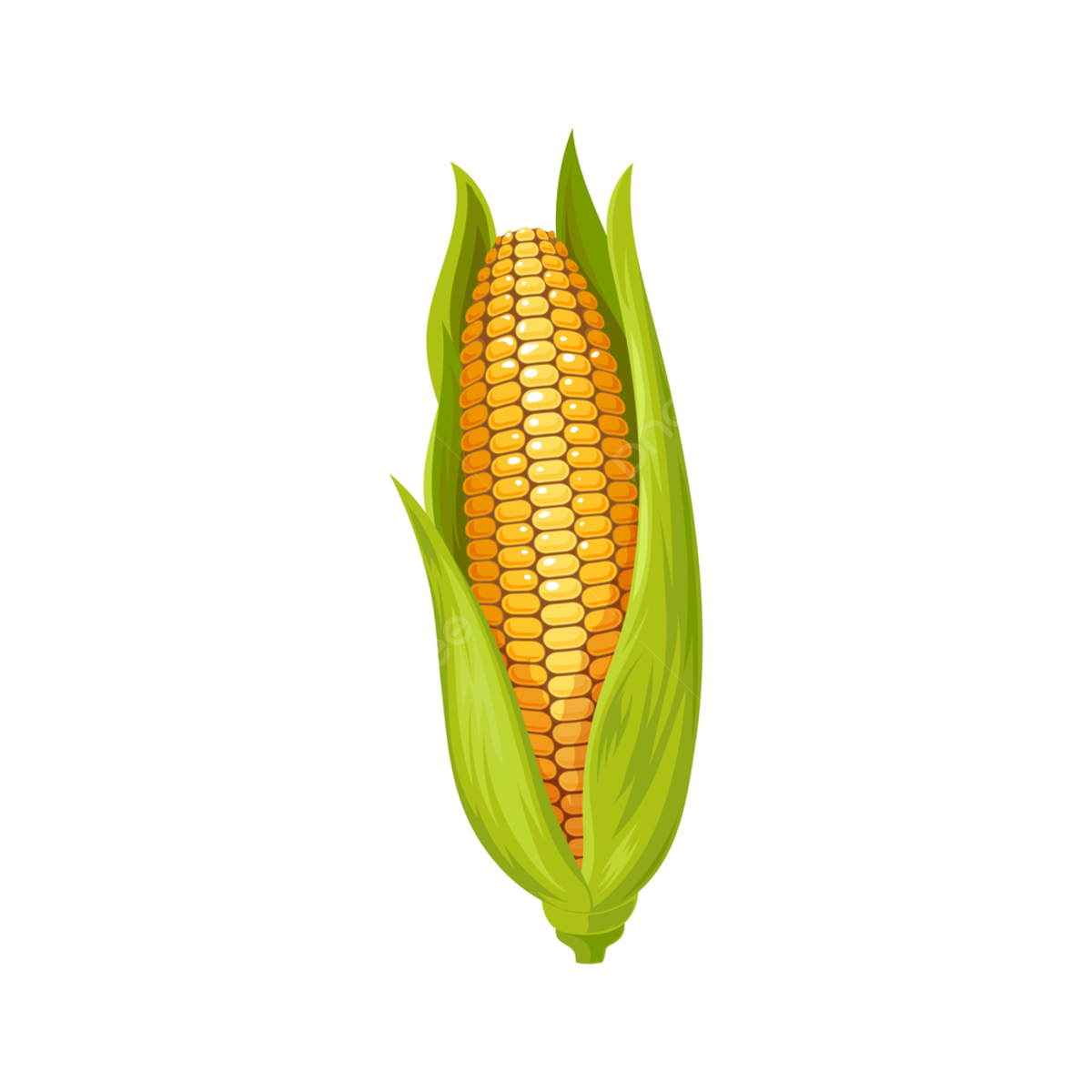 cute corn background 0026