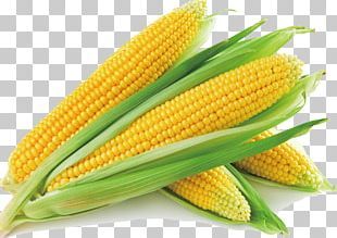 cute corn background 0039