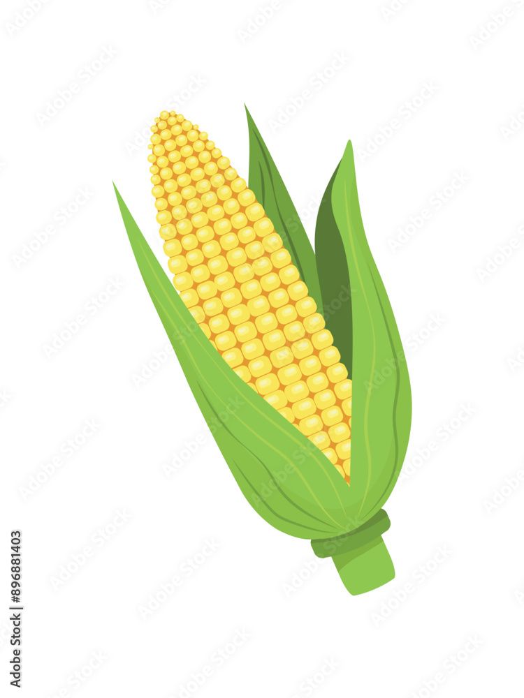 cute corn background 0044