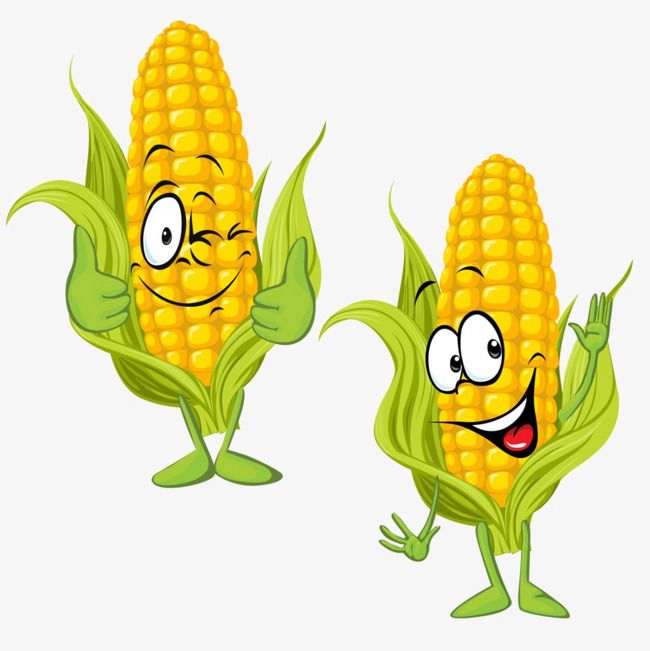 cute corn background 0045