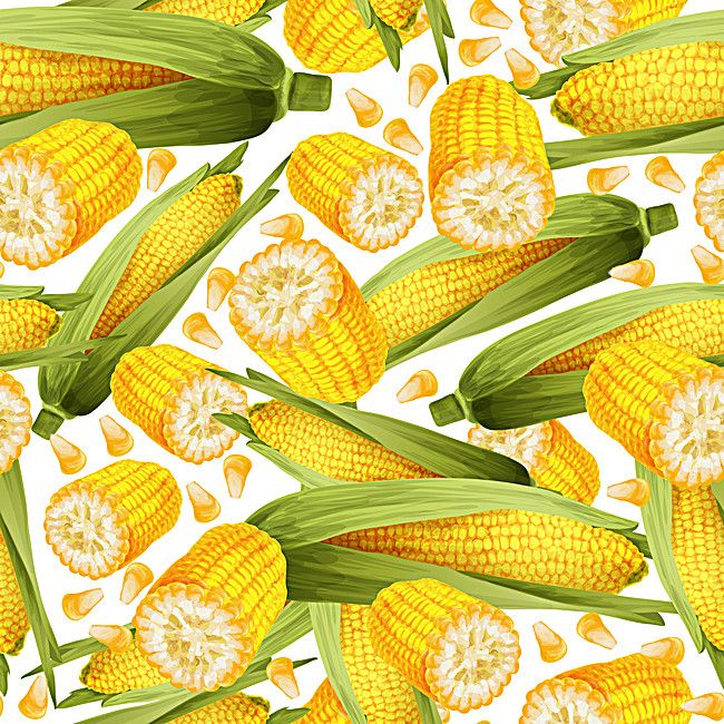 cute corn background 0072