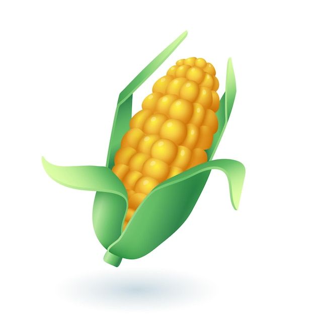 cute corn background 0076