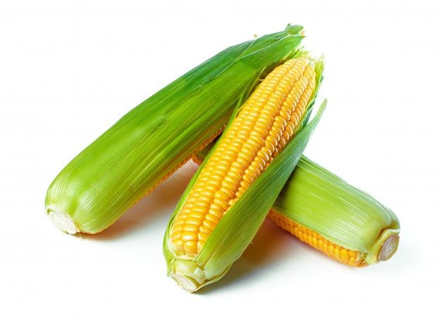 cute corn background 0089