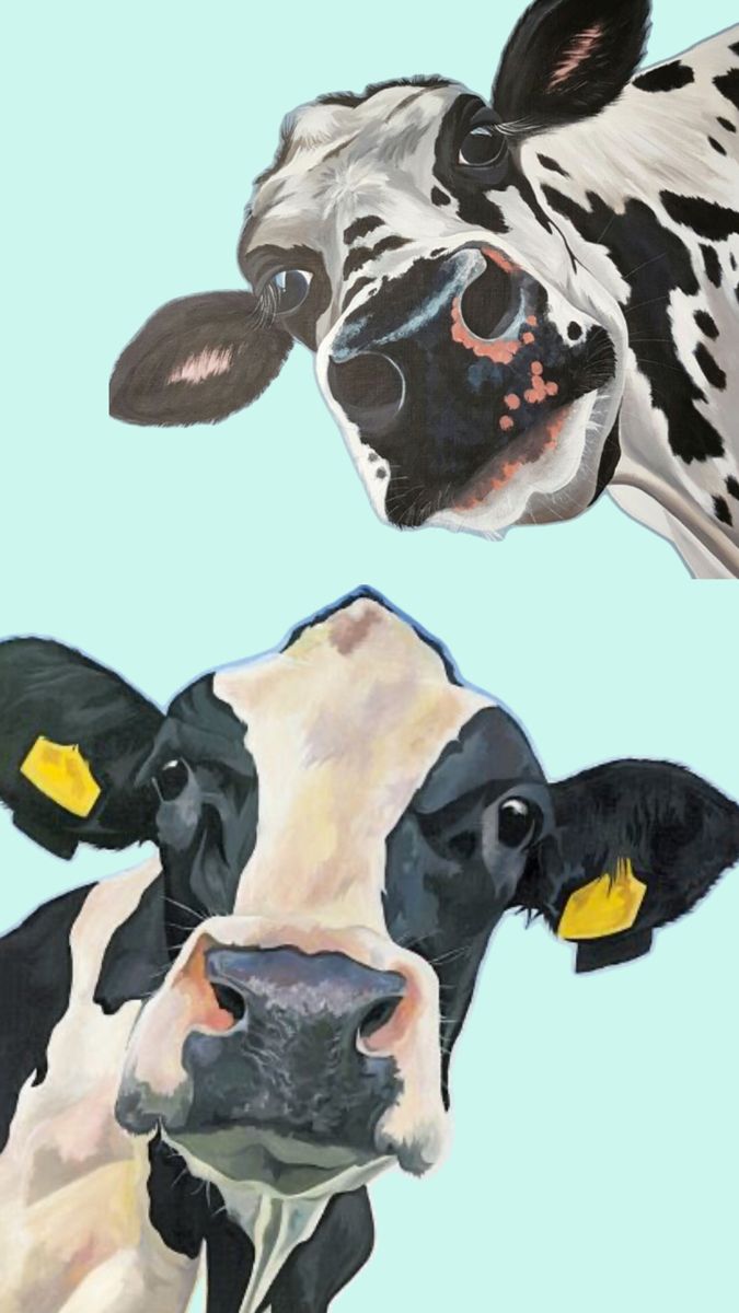 cute cow backgrounds 0016