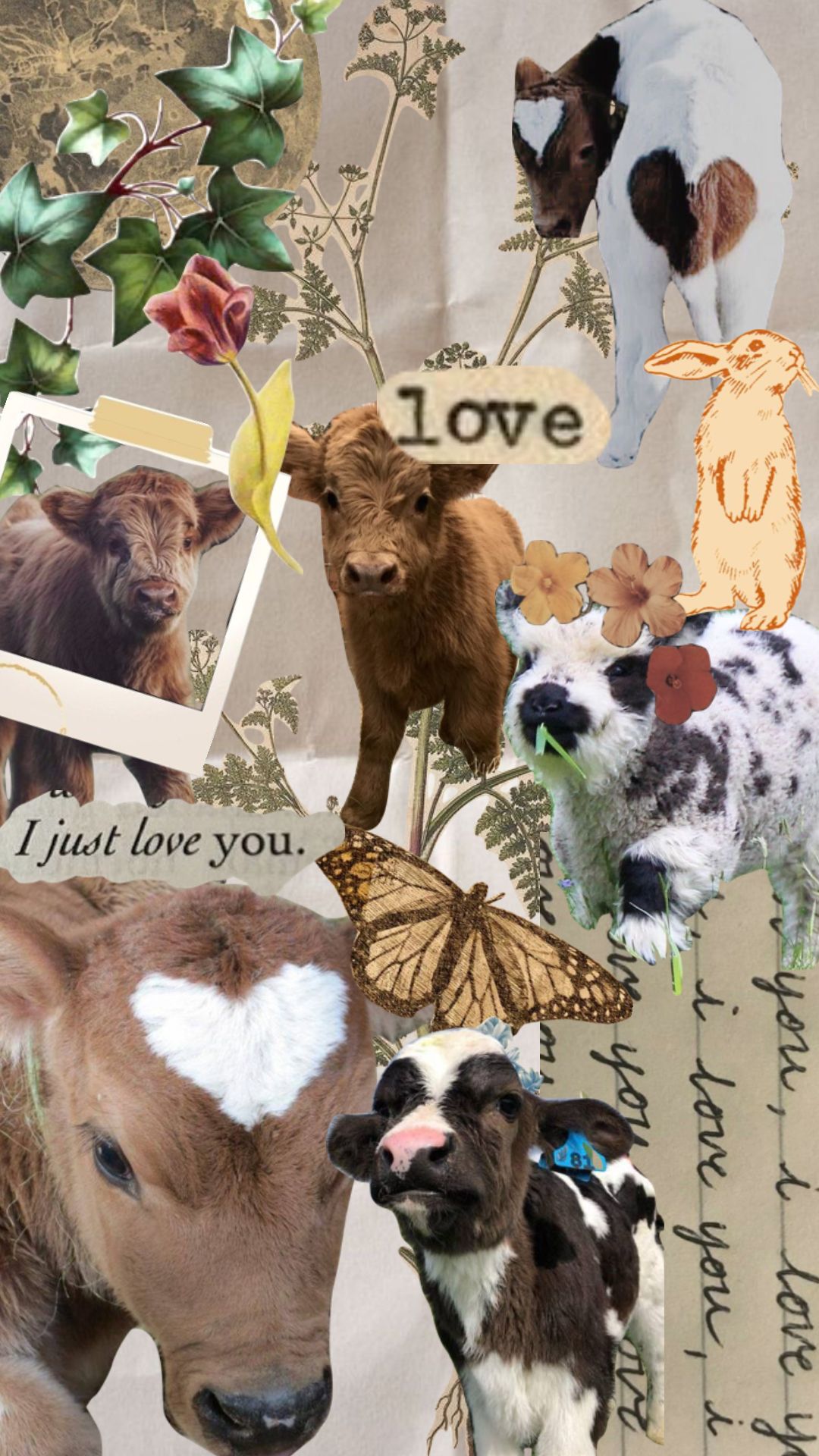 cute cow backgrounds 0033