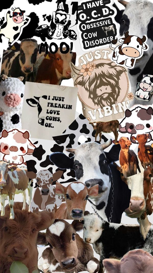 cute cow backgrounds 0056