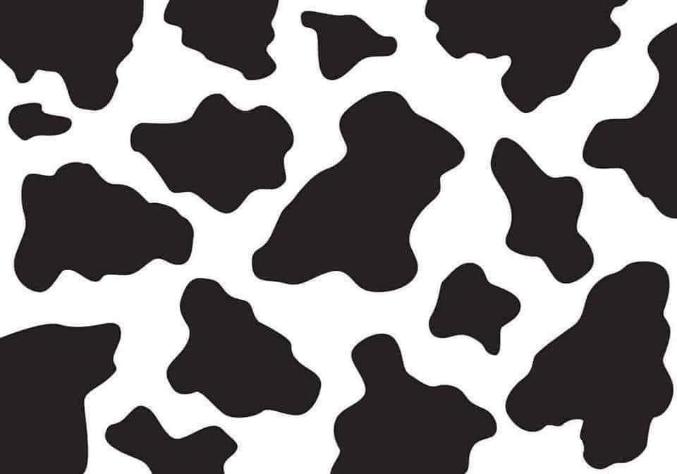 cute cow print backgrounds 0034