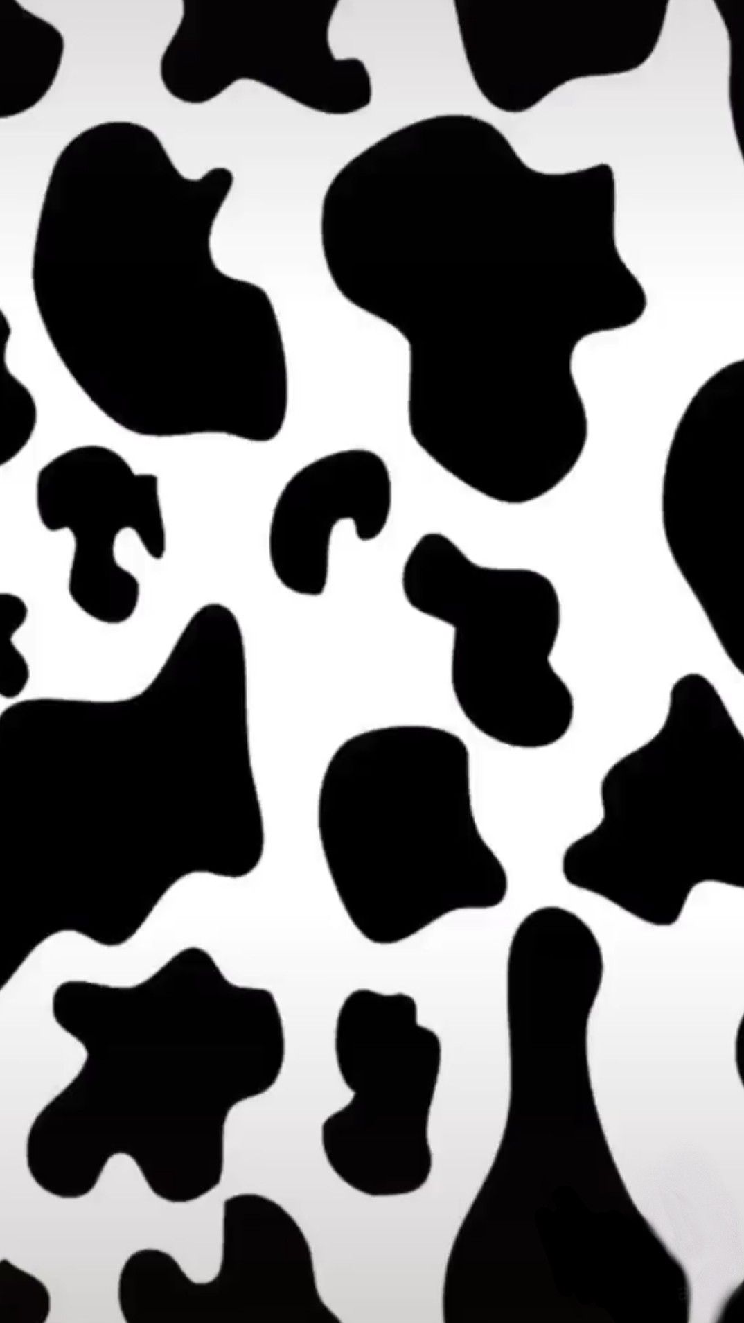 cute cow print backgrounds 0094