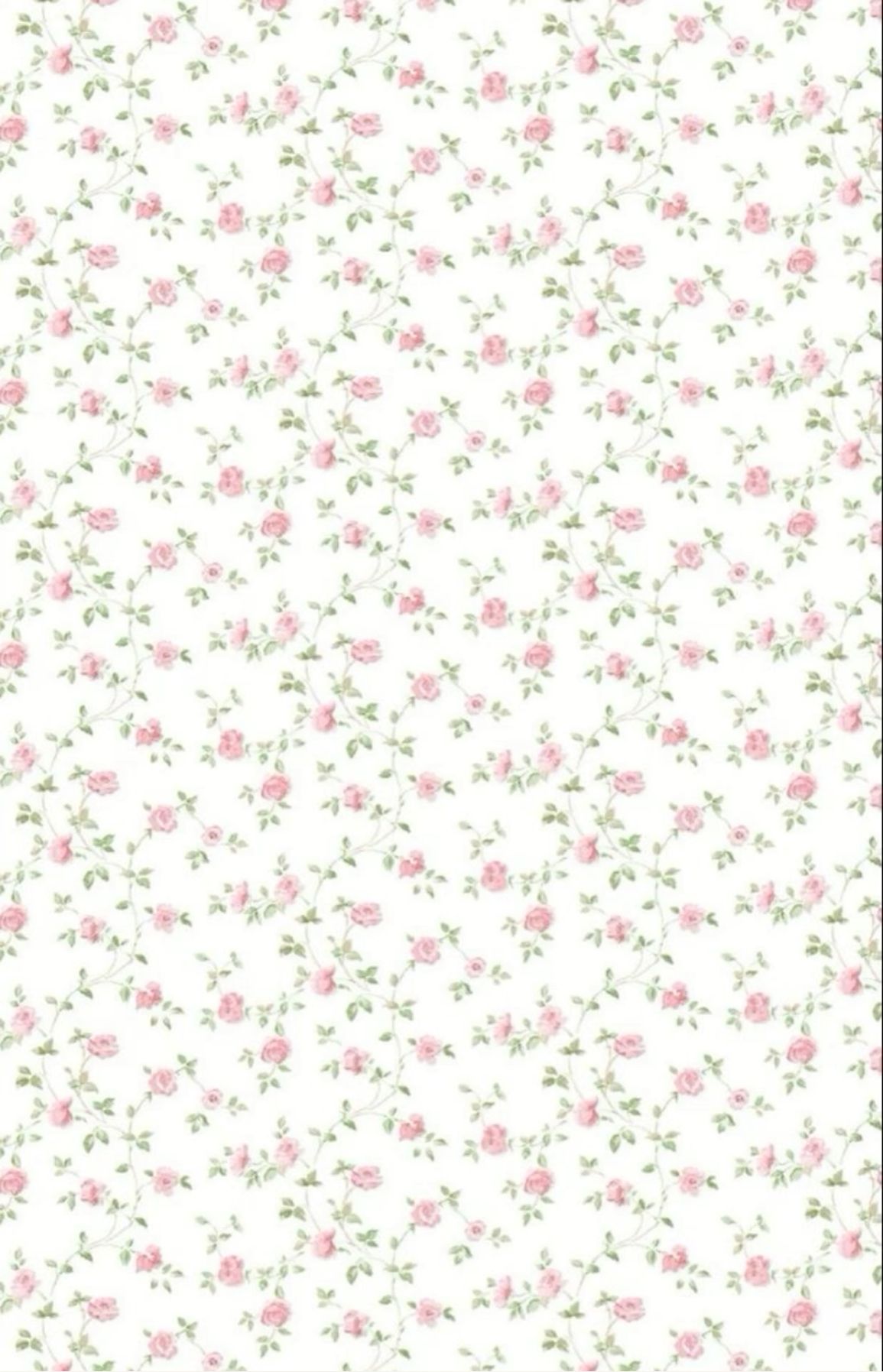 cute dainty backgrounds 0041