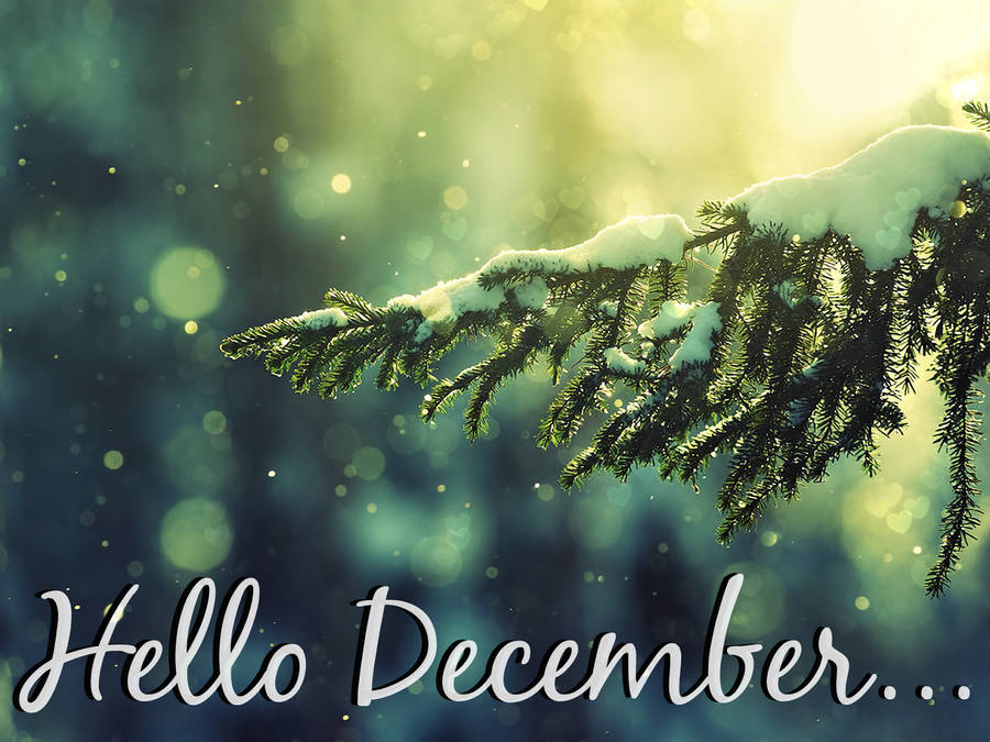 cute december backgrounds 0026